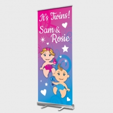 Baby Twins Rollup banner