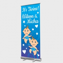 Twin Boys Rollup banner